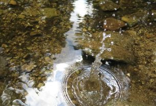 Израильтян предупредили об угрозе: популярные водоемы срочно закрыли