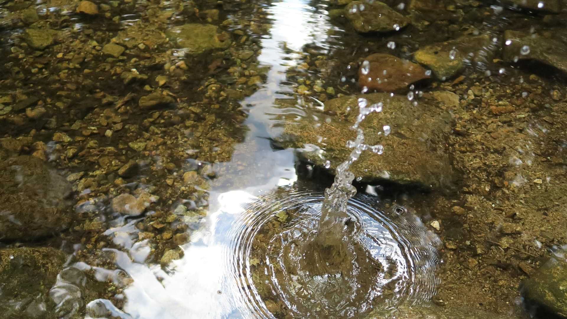 Израильтян предупредили об угрозе: популярные водоемы срочно закрыли Израильтян предупредили об угрозе: популярные водоемы срочно закрыли